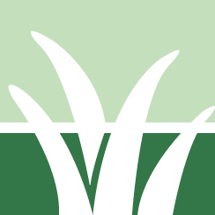 TJs Grass Repair
