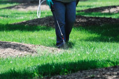 Restores a healthy lawn.