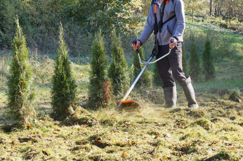 Brush Mowing Service in Calvert County, MD
