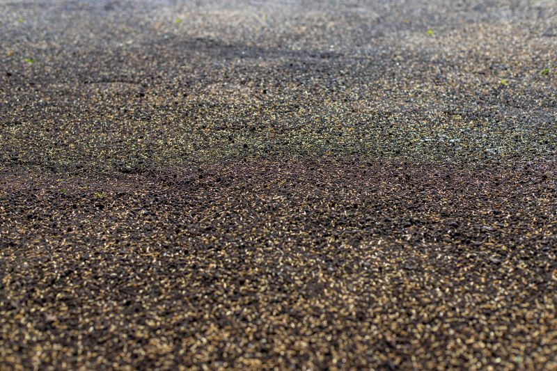 Commercial Lawn Seeding in Ventura County, CA