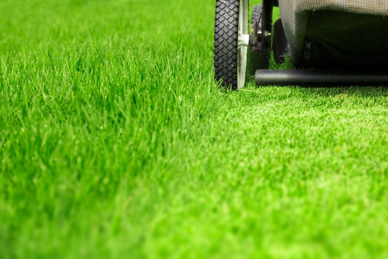 Fall Lawn Care in Bowie, MD