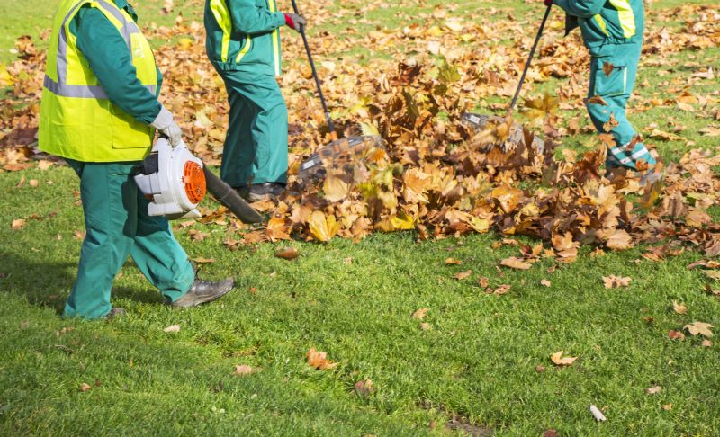 Removing Leaves by Hand