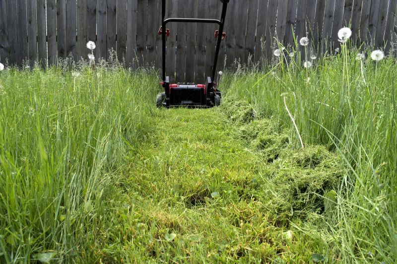 Grass Mowing in Bowie, MD