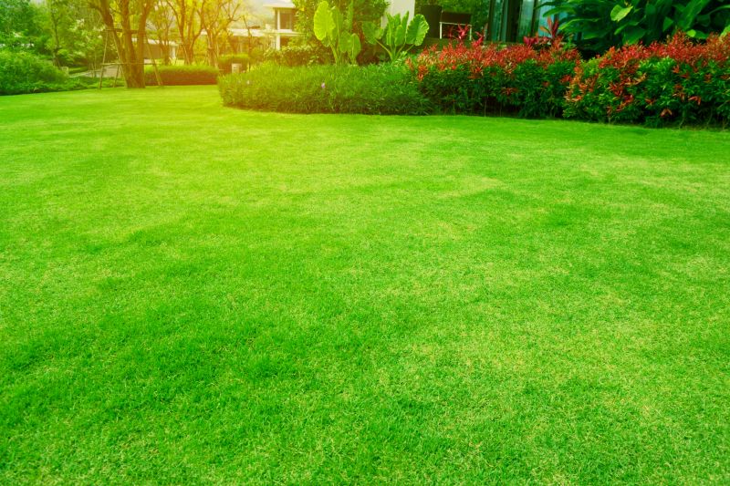 Healthy Lawn Maintenance