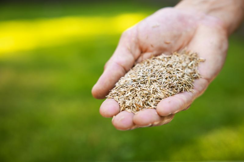 Grass Seeding Service in Ventura County, CA