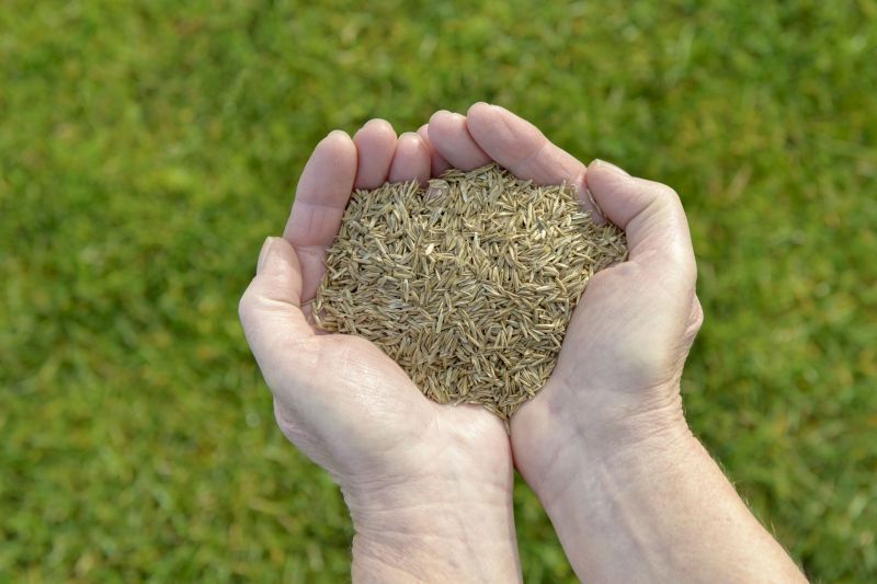 Grass Seeding Service in Ventura County, CA