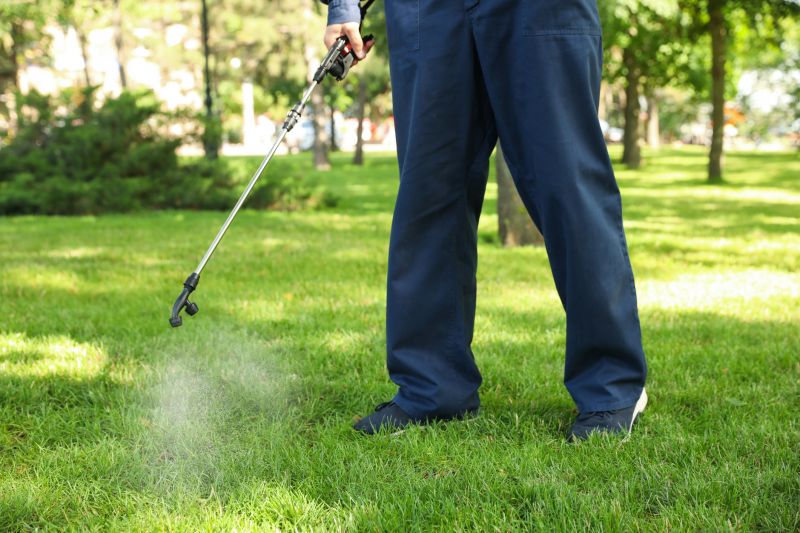 Lawn Moss Control in Ventura County, CA