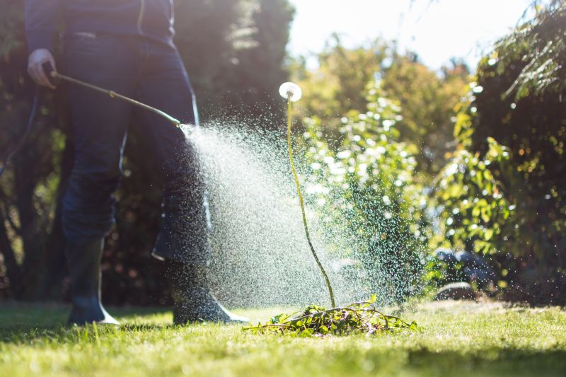 Lawn Spraying in Honolulu, HI