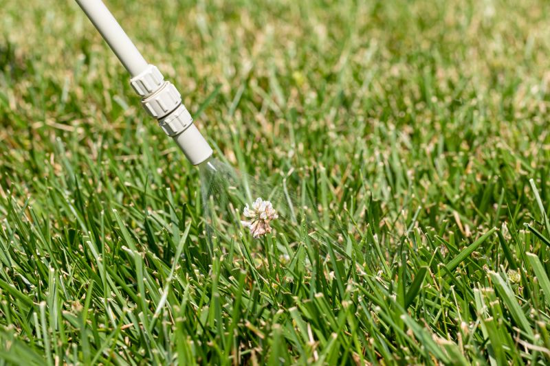 Lawn Weed Spraying in Aiken, SC