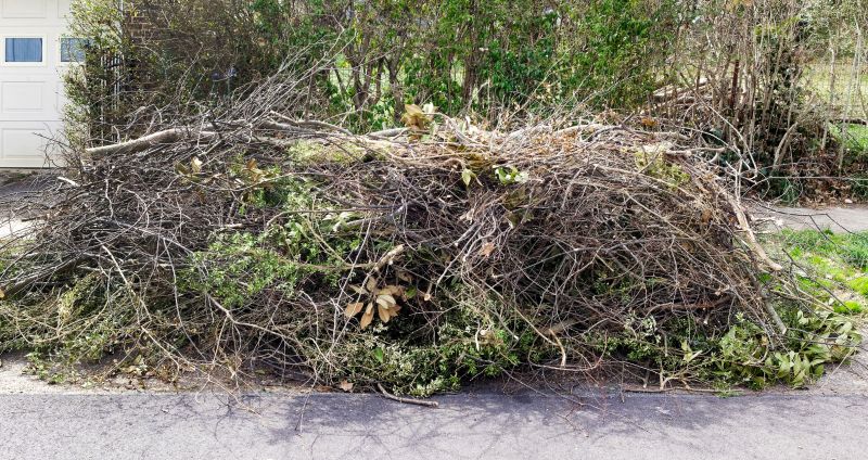 Tree Debris Removal in Honolulu, HI