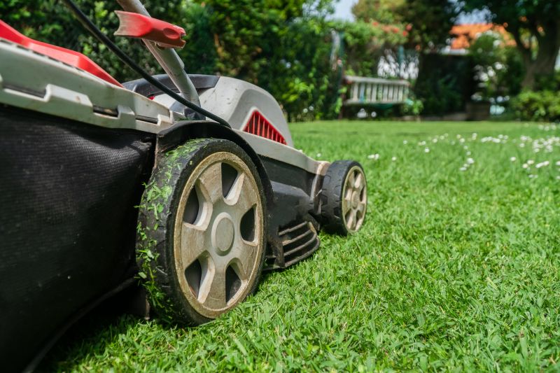 Vacant Lot Mowing in Duluth, MN