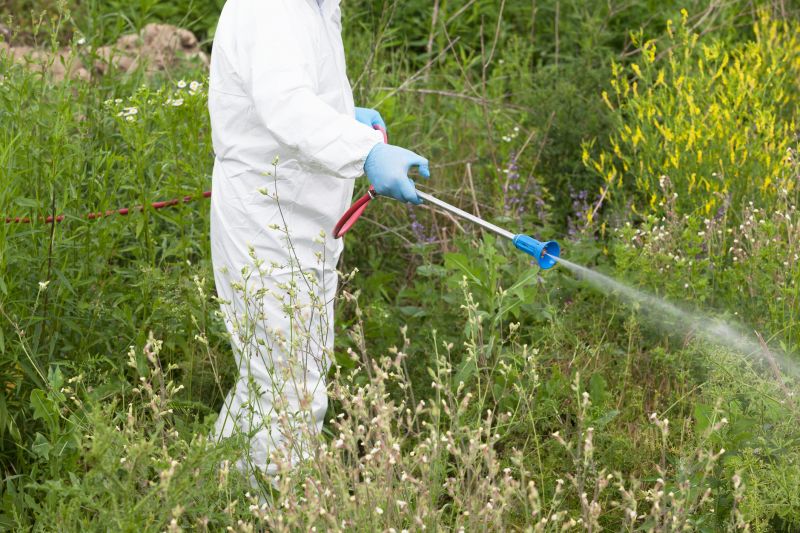 Weed Control Service in Aiken, SC
