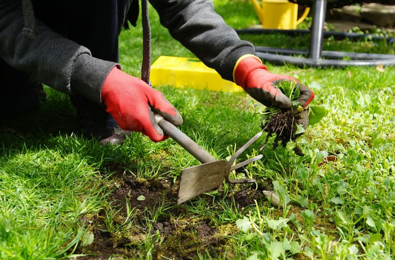 Weeding Service in Ventura County, CA