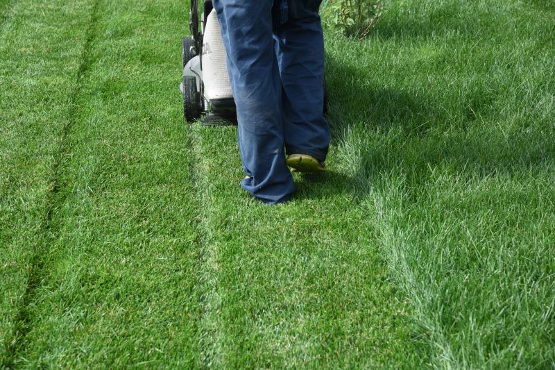 Weekly Lawn Care in Bowie, MD