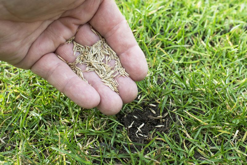 Yard Overseeding in Honolulu, HI