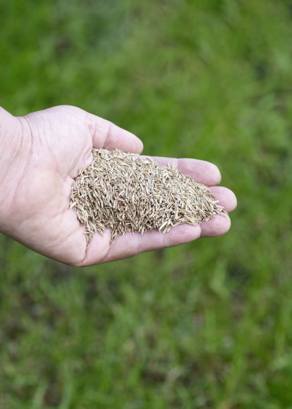 Yard Overseeding in Honolulu, HI