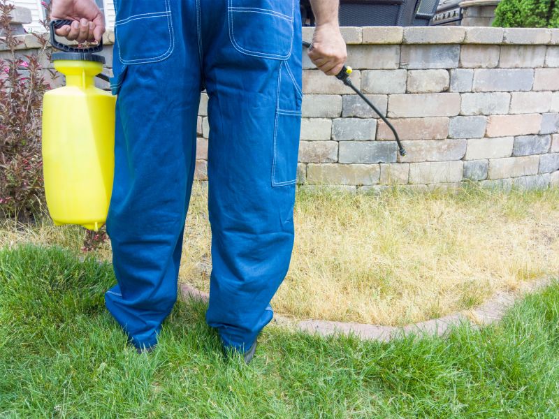 Yard Treatment Service in Honolulu, HI