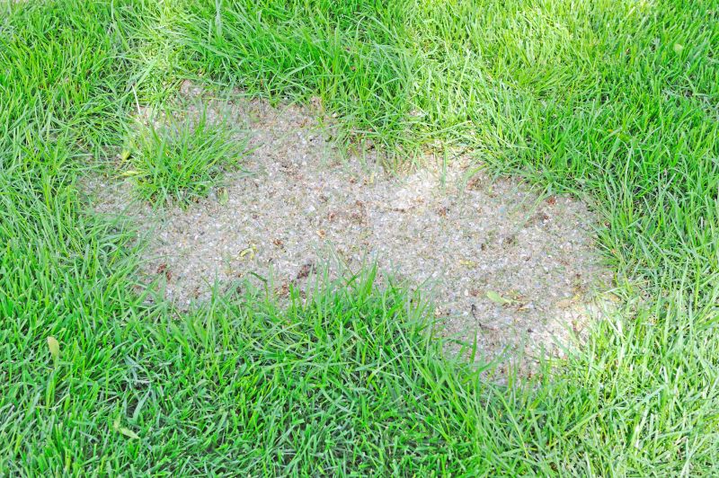 Prevents weed growth.